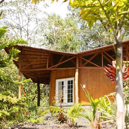 Villa Kalani Oceanside Retreat à Pahoa Extérieur photo