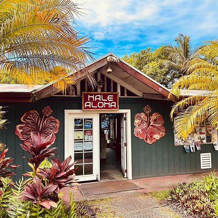 Villa Kalani Oceanside Retreat à Pahoa Extérieur photo