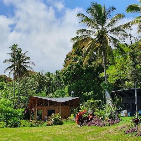 Villa Kalani Oceanside Retreat à Pahoa Extérieur photo