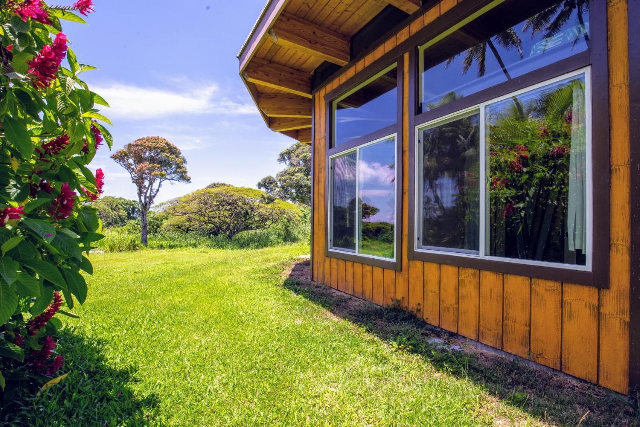 Villa Kalani Oceanside Retreat à Pahoa Extérieur photo