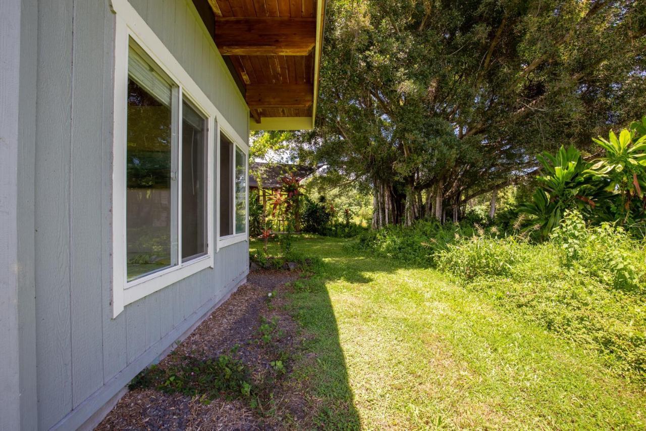 Villa Kalani Oceanside Retreat à Pahoa Extérieur photo