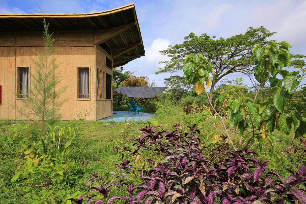 Villa Kalani Oceanside Retreat à Pahoa Extérieur photo