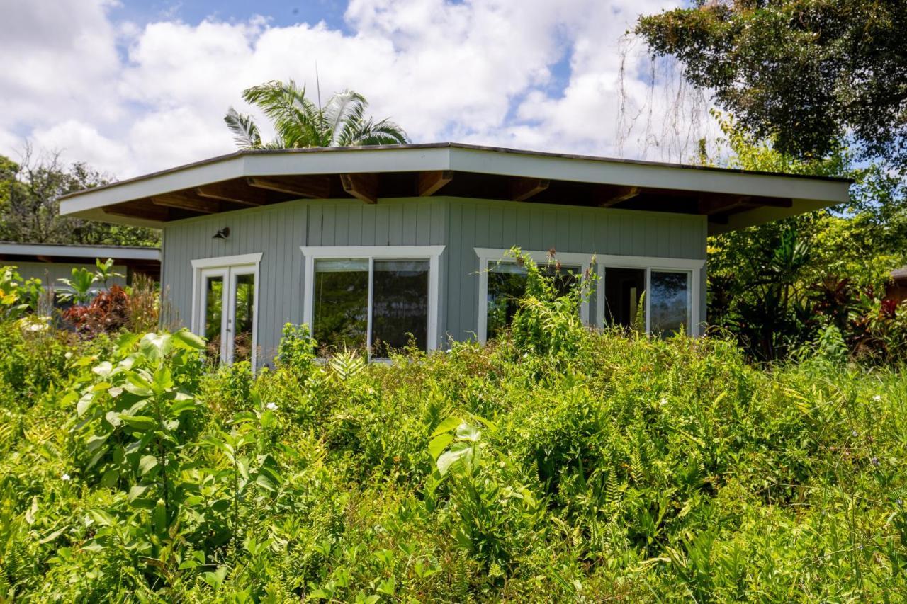 Villa Kalani Oceanside Retreat à Pahoa Extérieur photo