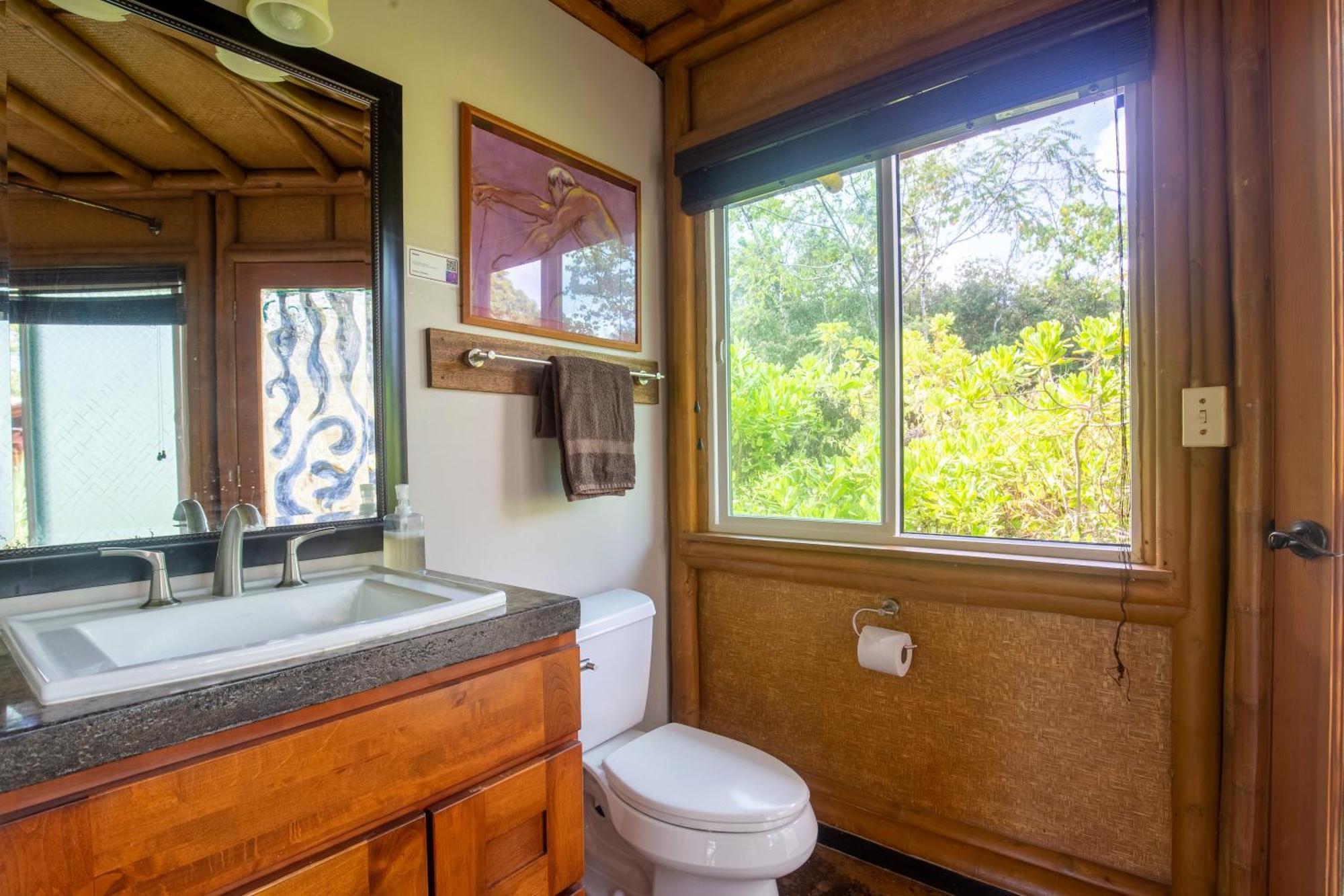 Villa Kalani Oceanside Retreat à Pahoa Extérieur photo