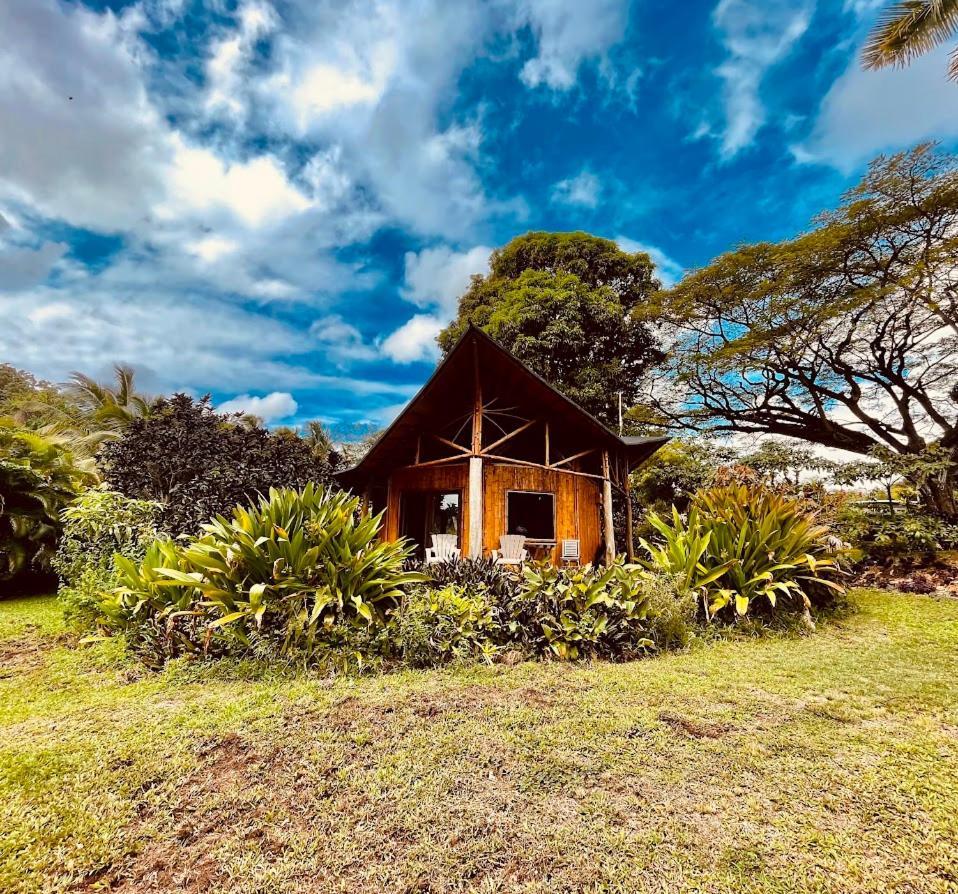 Villa Kalani Oceanside Retreat à Pahoa Extérieur photo
